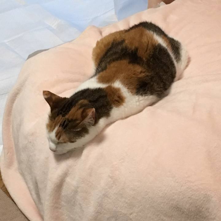 9150dccd 4c76 448e bc84 609e61c42a4d 1558262379275