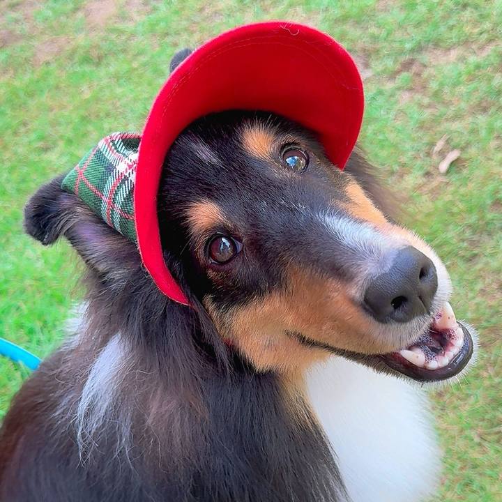 91510496 8e2f 41bb 8342 65b5c7cea501 1756318469161