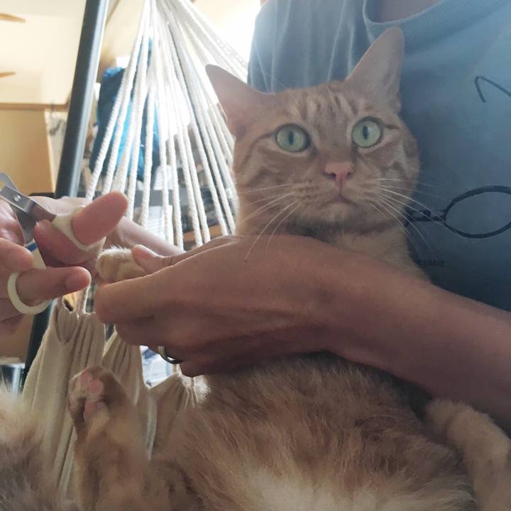 915108b3 c2ee 4b1f b100 416faabb3af1 1536449830499