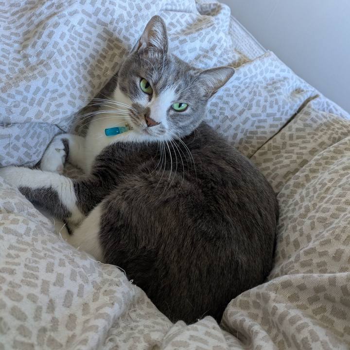 91511349 e243 4ac1 beb9 6e7e44503fde 1739589255565