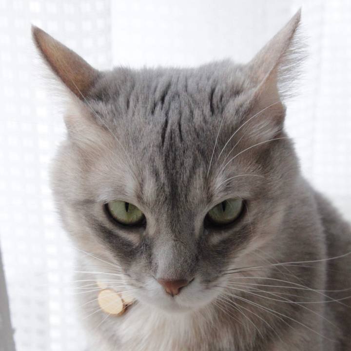 91512db4 086e 48bd 9b61 51d92f629ec6 1577867625985