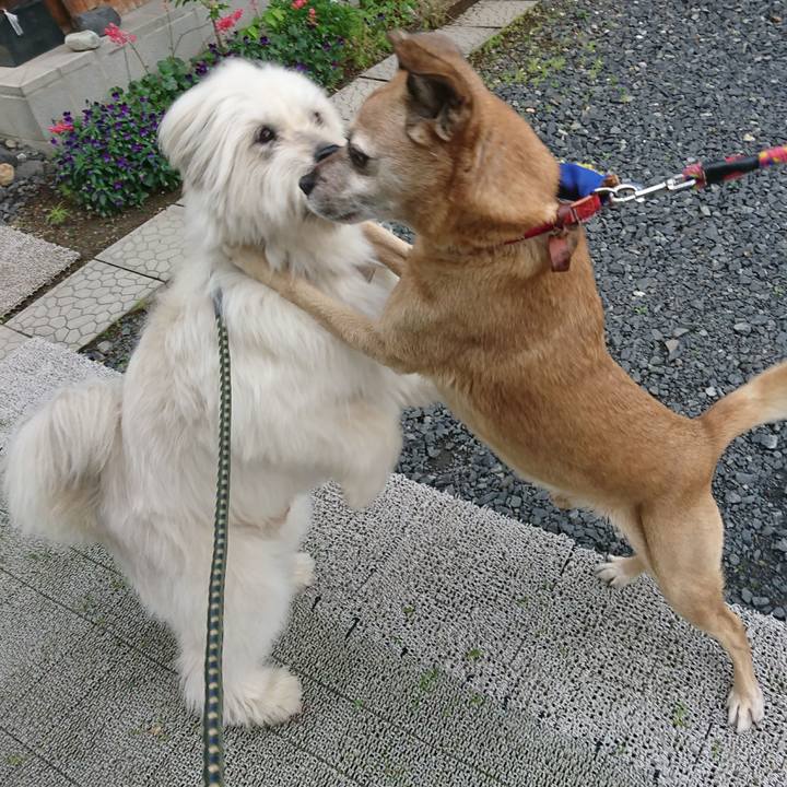 915131ff c97a 4f07 8096 477d263d705b 1589887151308