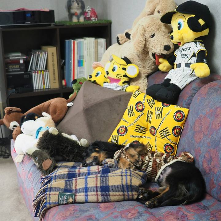 915147d4 c4f7 40c7 9315 7a22525dfd52 1597726274800