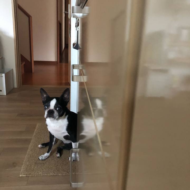 915165f6 8ab5 4eac 8ff1 061b570f236e 1721126497856