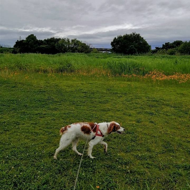 915166a2 5910 4372 987e b985c6601fb3 1625125375426