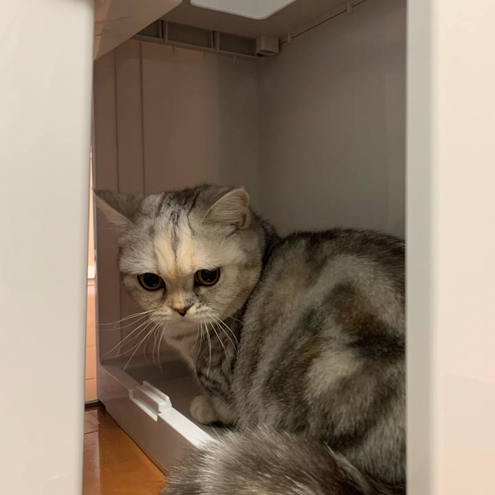 9151702f 0f98 4a33 8248 cedfb169dd47 1705300295723