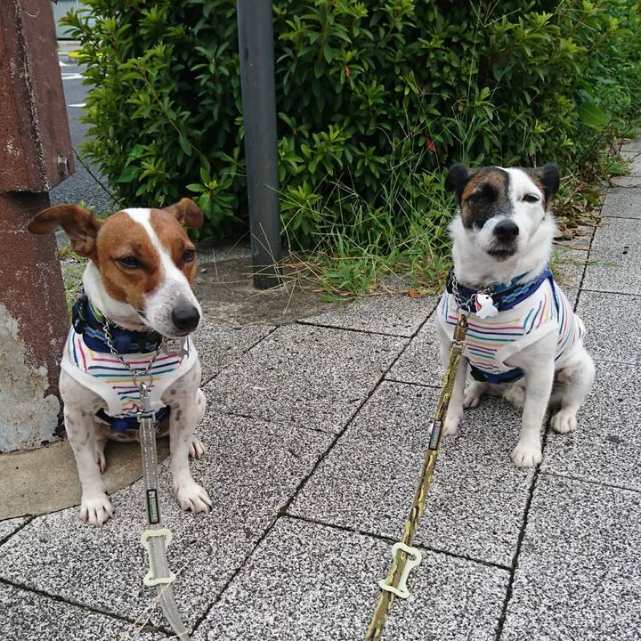 9151a7db 0ba4 4727 94d0 a35f513a2848 1598218989710