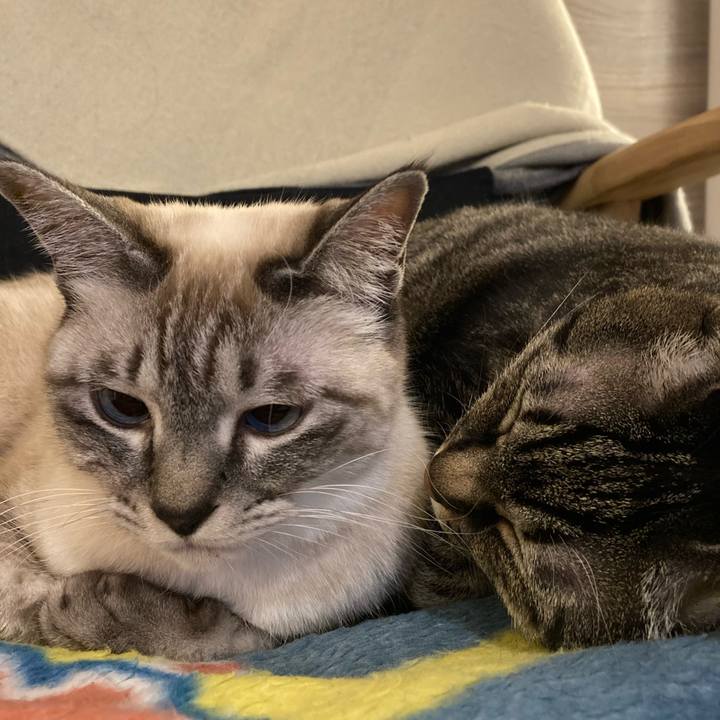 9151c649 0ca7 4cf5 b8a0 665a5d891d8e 1638532249120