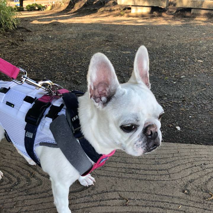 9151c85f 21e7 464d af4a f84b22be1f04 1587261940121