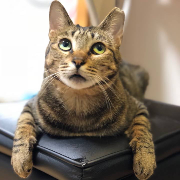 9151d766 b93f 4790 945d df480a9c2abd 1523950883402