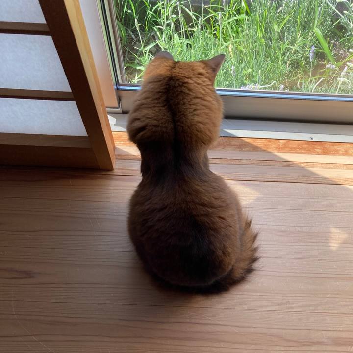 9151ef65 09f1 4ed9 8bd0 c04204cece82 1618446108201