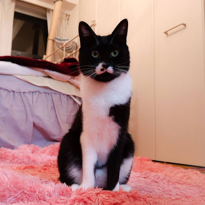 91522271 4334 4bf4 af3b 1f87a059e114 1543333546898