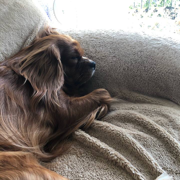 91523a02 cf25 46b3 adec eacd6ca0b198 1579871711211