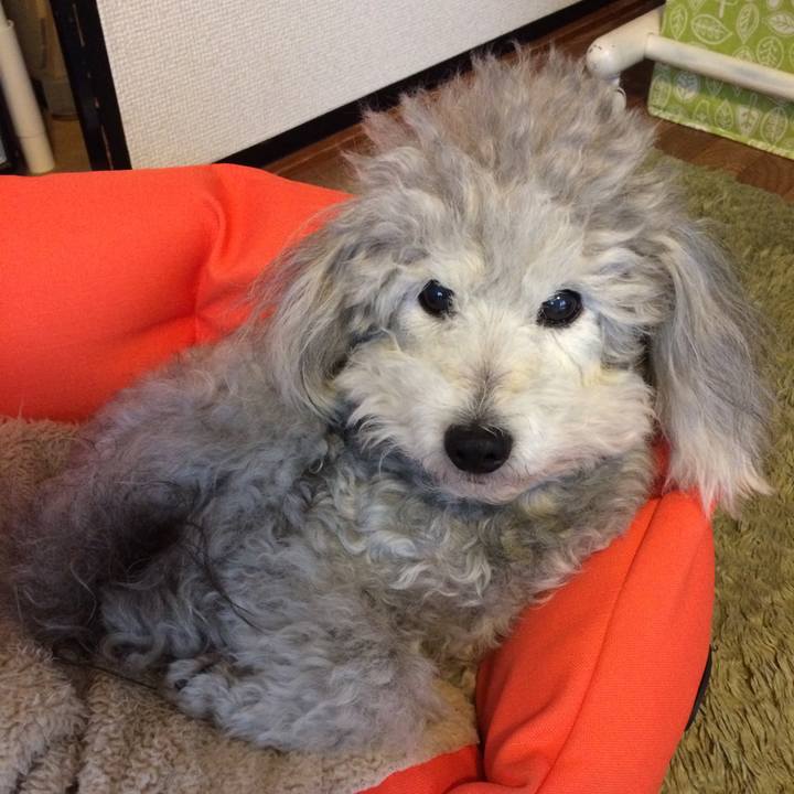 915286d0 9645 4b75 8b88 9d1b0aa4cd16 1520550398942