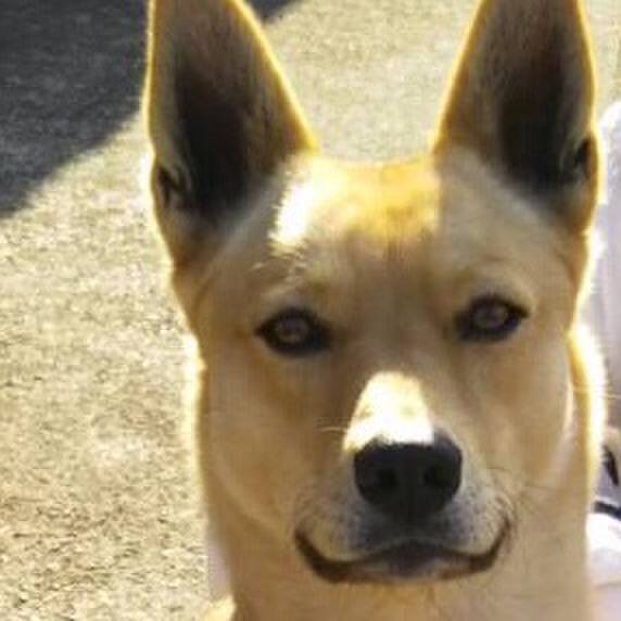 9152bbf9 5f80 462a 88cf d3e8f7ef12d9 1520567609203