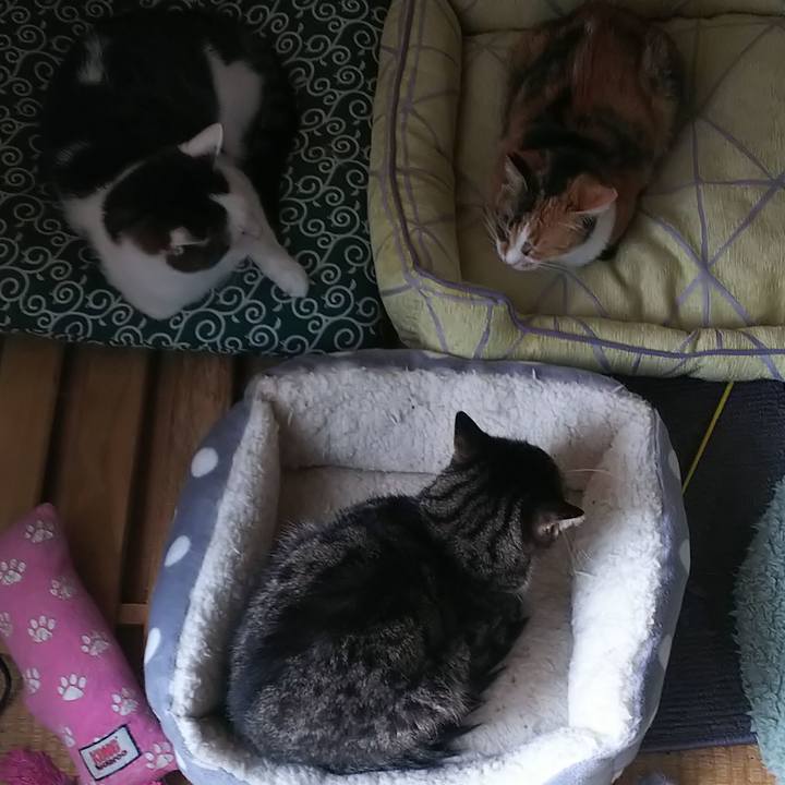 9152c383 ae74 46f2 92d9 7ee1e19f4ddd 1591880181506