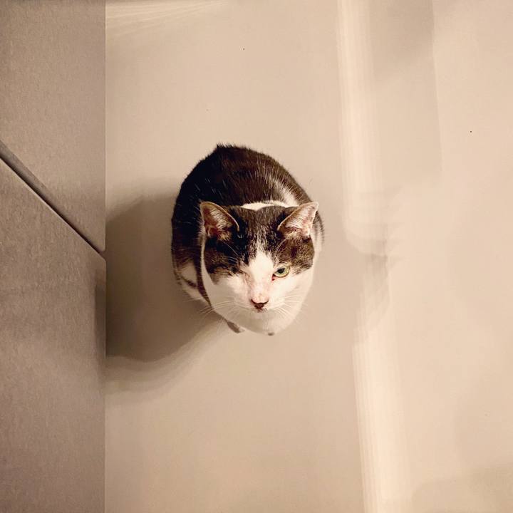 9152e6bb 44da 4c5c 9b4c 8f2e15cd095b 1586527743977