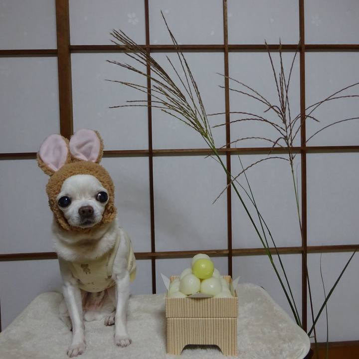 9152e999 6a96 4195 8c63 8d5c1c64011c 1601481258081