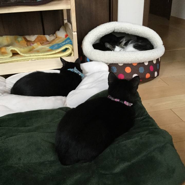 915309cc f382 4547 bbd0 cf59d833ec2a 1514681767806