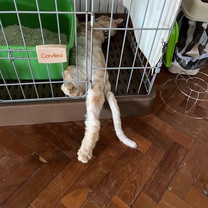 91530deb 67e7 4ef6 b377 03a5089744dd 1763546760631