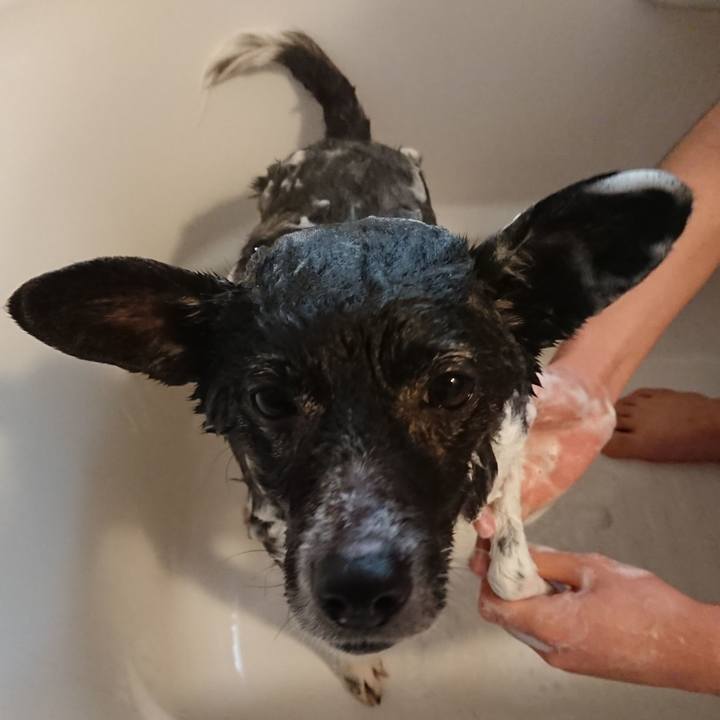 9153235b 0cd0 4ae0 9cf3 836dd87d6898 1553490548071