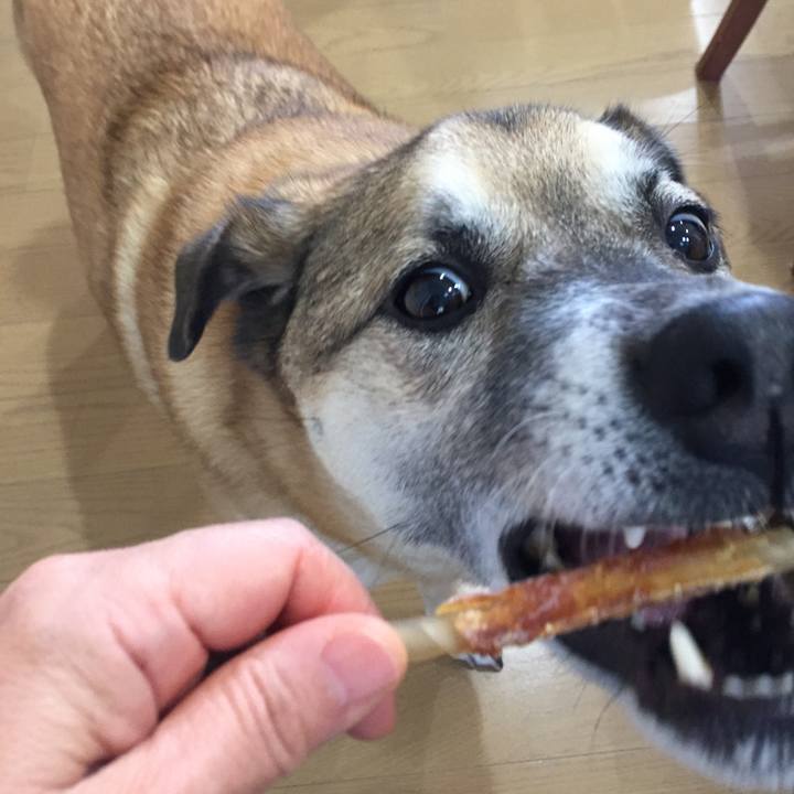 91537c2b e4ed 4ef6 88ea c70e1d55aaed 1518309192543