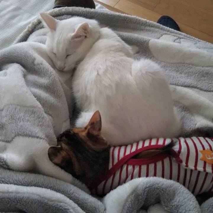 91538671 24a9 4a58 9828 ee57d847e2c1 1634454104686