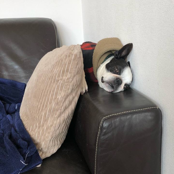 9153926d c3d8 43d1 a136 be51a43f44e8 1583583222035