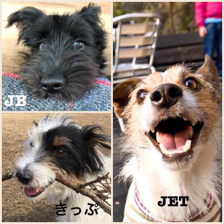 9153a79d 7b2e 4dc3 8147 f84b905febc6 1540335898298