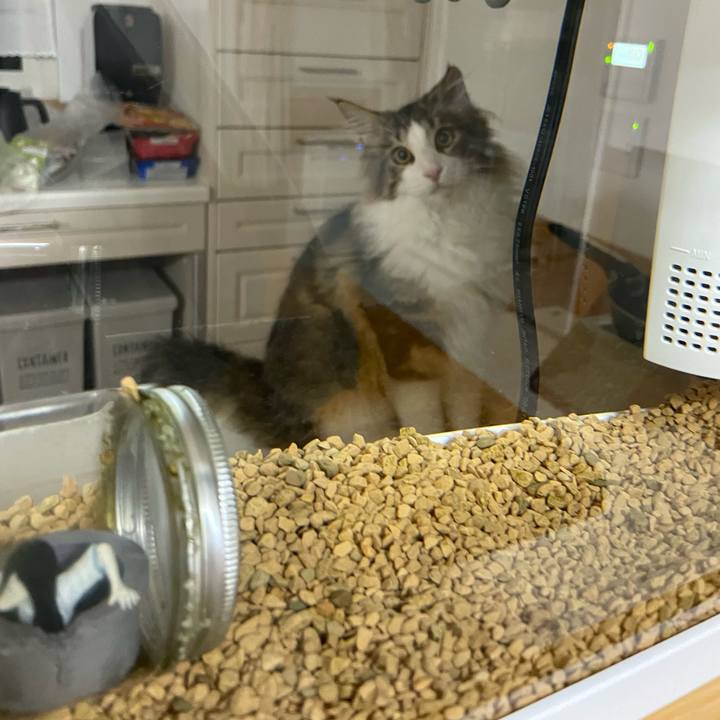 9153b37c 130b 423f 9144 e08d040b0907 1639346411660