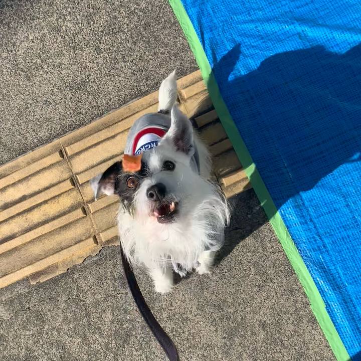 9153cb85 7bdc 476d 845f c757ec8e599a 1702169534633