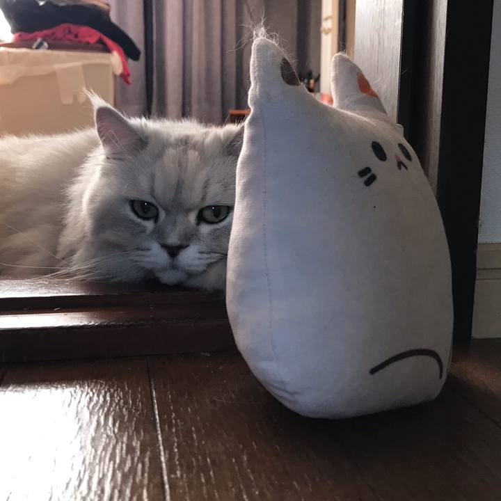 9154b9ab 78bd 4410 a2ae f0324fec8c04 1635037987852