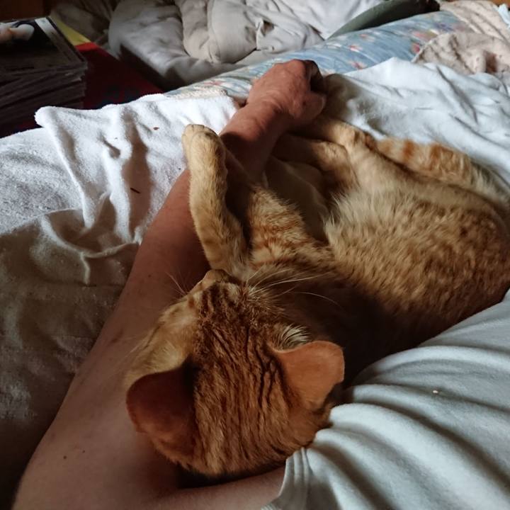 9154cfc6 5f87 486e b3ab 3d5290a0ca95 1658037709924