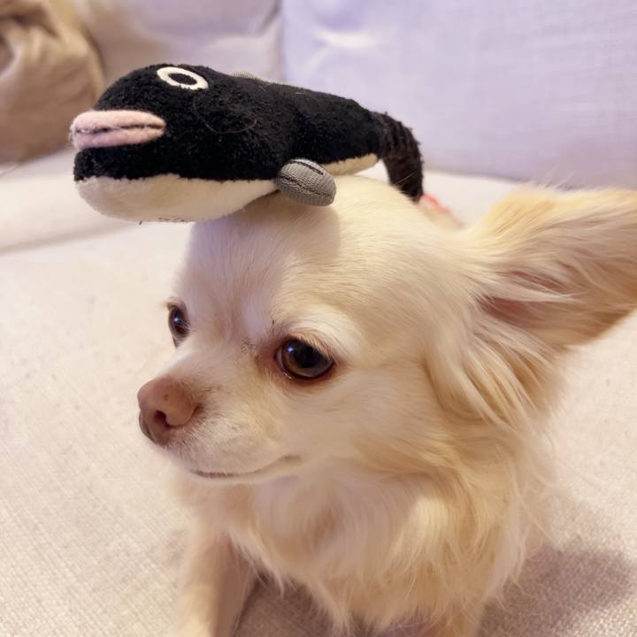 9154f688 b1bc 4108 b6ec 193e9267278b 1742822579533