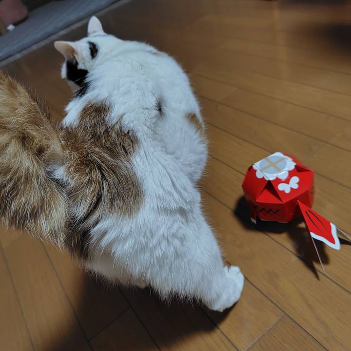 91552e4f cb3f 44c1 bd91 adc630481e4c 1756559596100