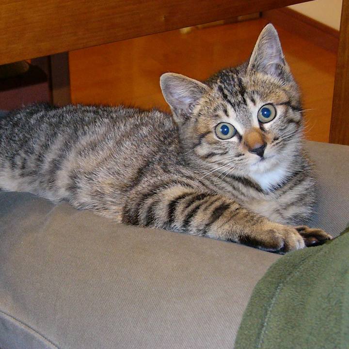 91555031 d7e9 4e00 be33 395f14b2d5c3 1620047732205