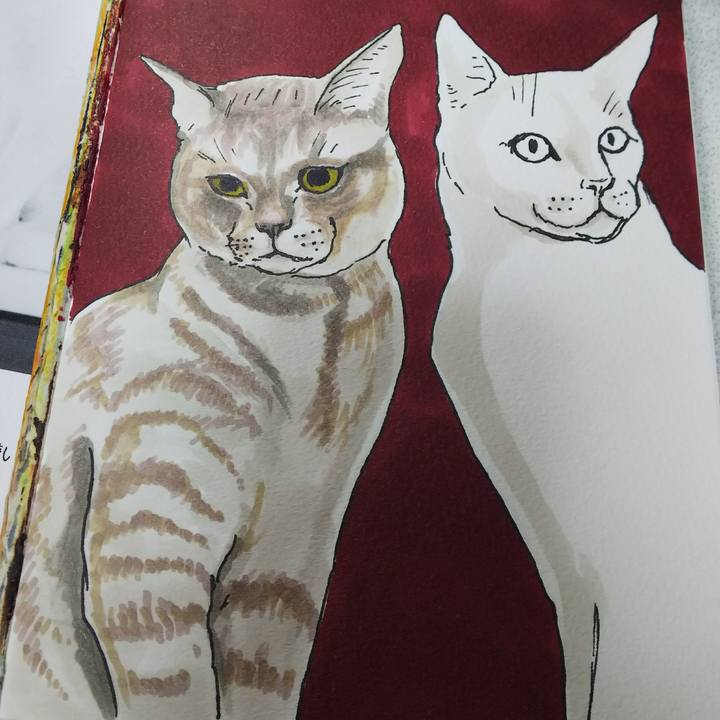 91556149 b43b 4f59 9a50 11be6513a3b6 1543732418776