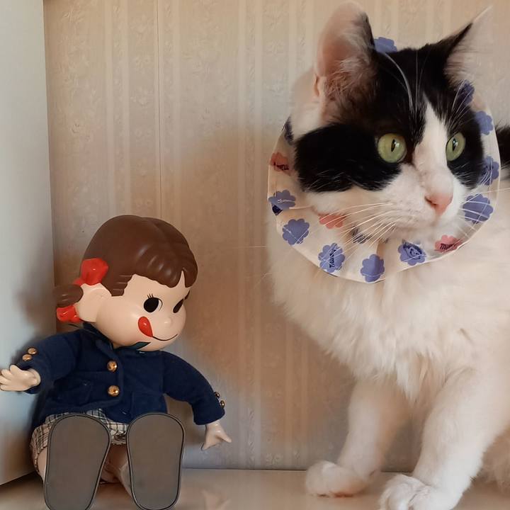 9155b6cd f1ba 412c 96e6 39ceb436d66c 1645776502230