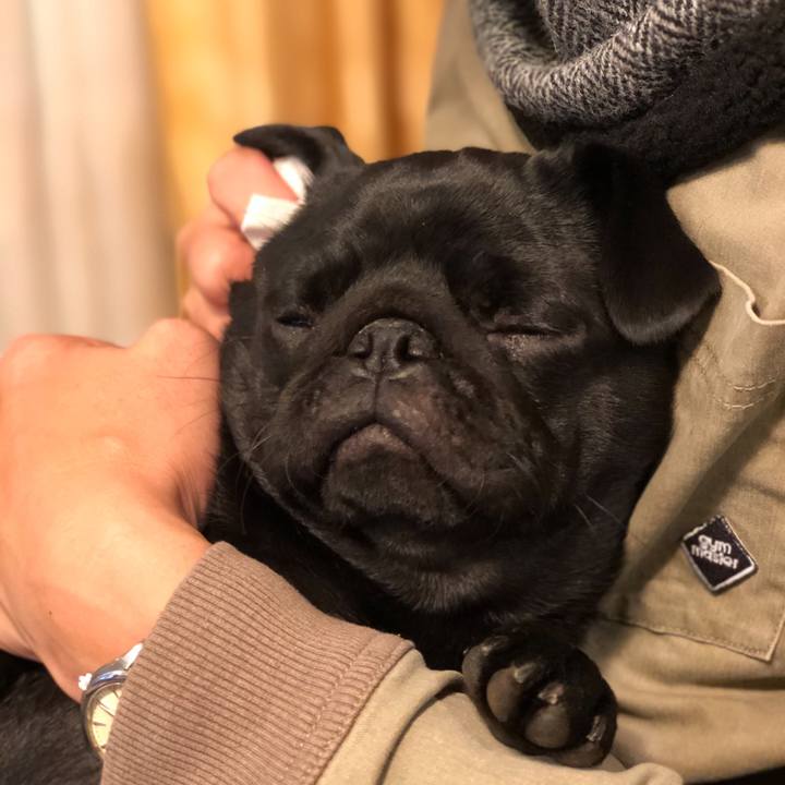 9155cbb8 8174 4b2d a5c8 31ddeaaa43ba 1606560760191