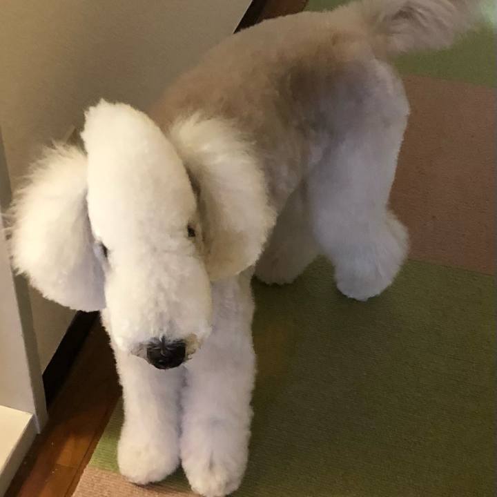 9155e1ce fb81 4261 849f f0a02913e8ae 1615707563096