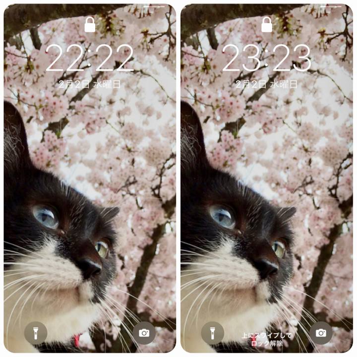 9155e33d f847 4da5 ae09 8130f9576777 1643814650662