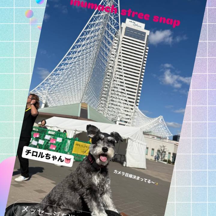 9155f167 7359 4c06 b153 576732941d35 1763793513413