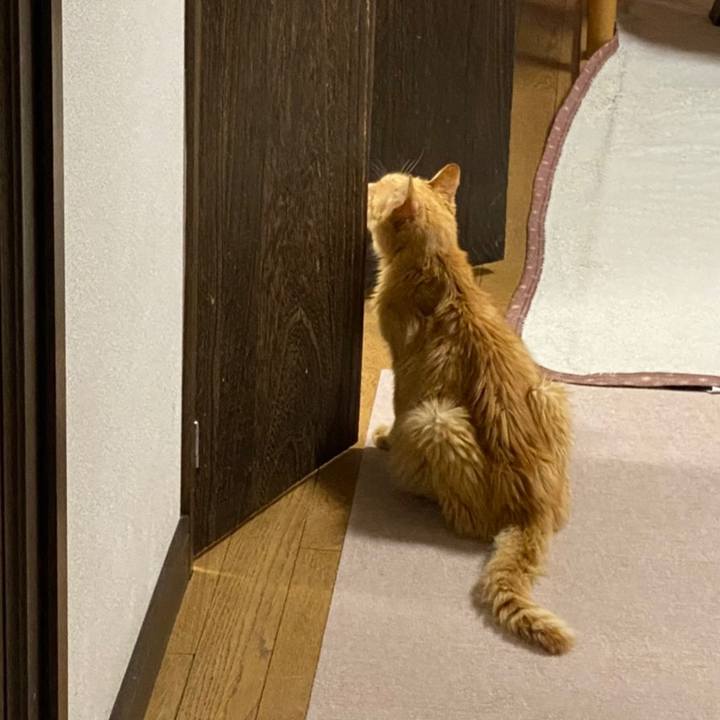 9155f6ef 3b5c 488d addc 80554b8a15a6 1609984209351