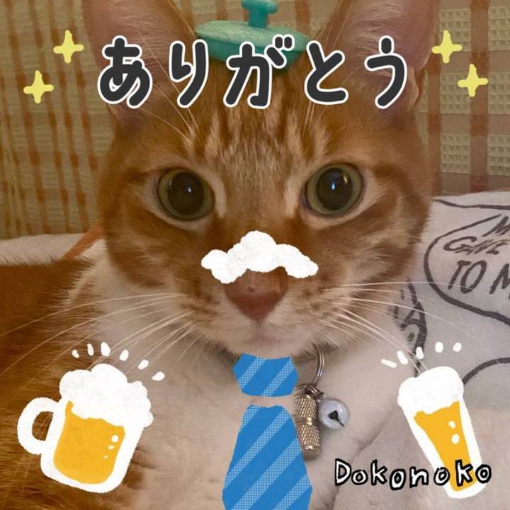 91563061 ae42 47e4 b86c d7324e07dfed 1718521390921