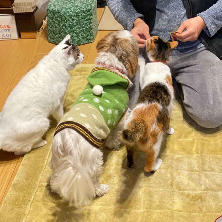 9156dee3 ad12 43eb b51e 3be3eb7ff538 1671717898897