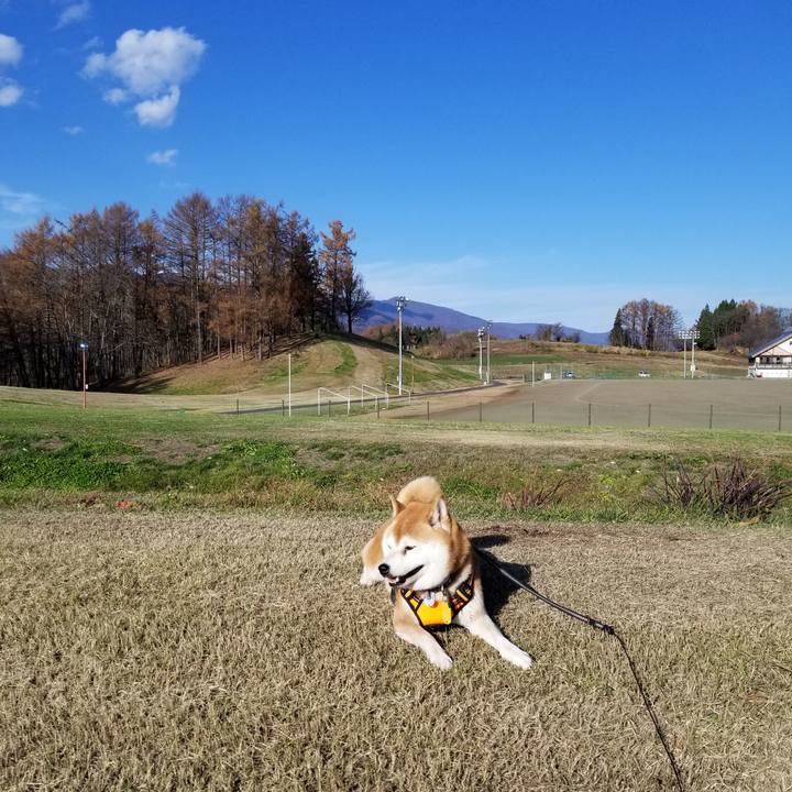 91570fe9 7c10 4eb6 8371 5be091897140 1606020955617