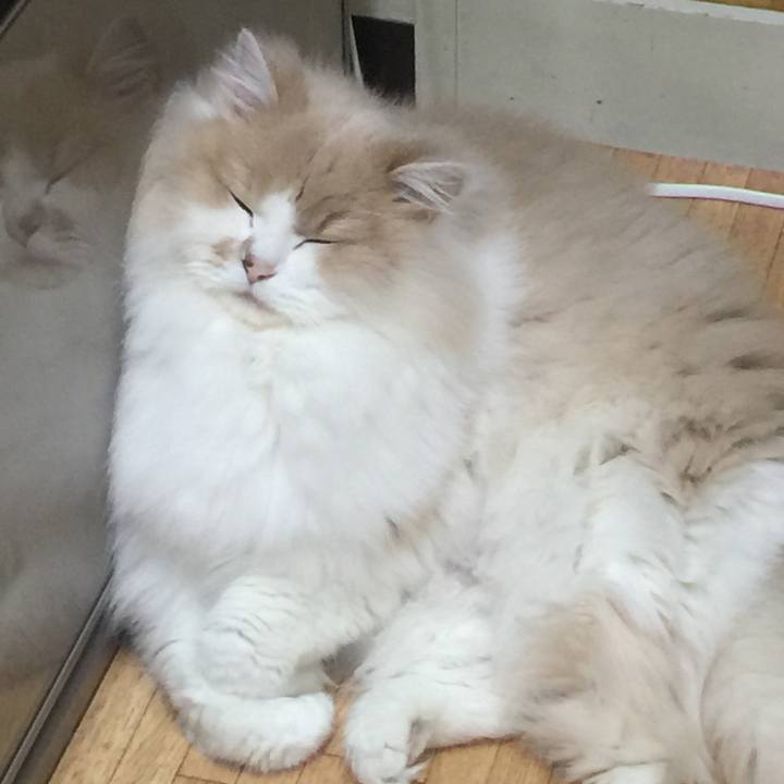 9157288f 497f 4937 87a4 cb9c567e18d5 1514725933777