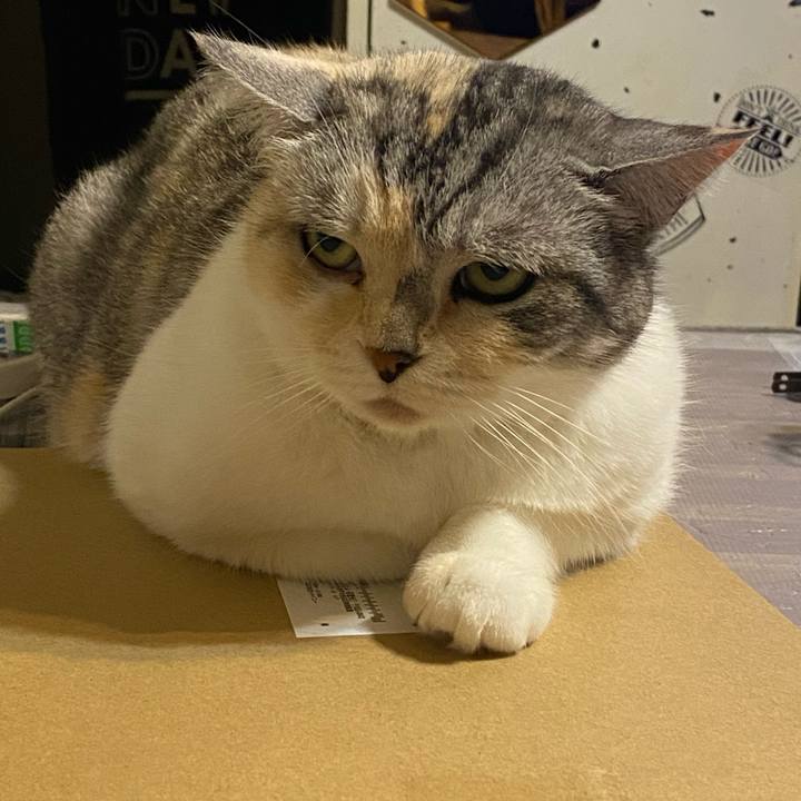 91572cd9 34a8 4679 9110 6bcbc831834e 1621686465636