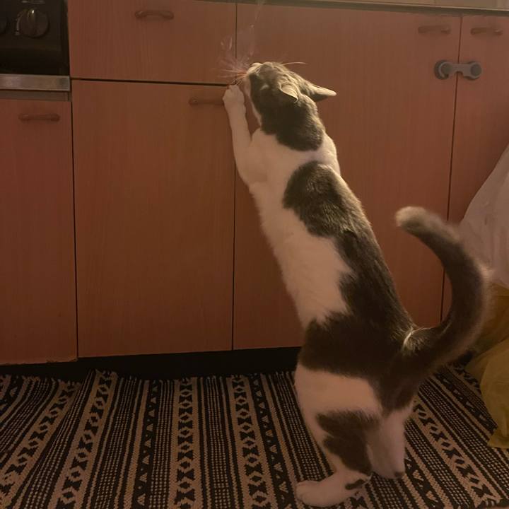 91576175 0c5b 4a03 bff8 2448b1f0443d 1667547153488