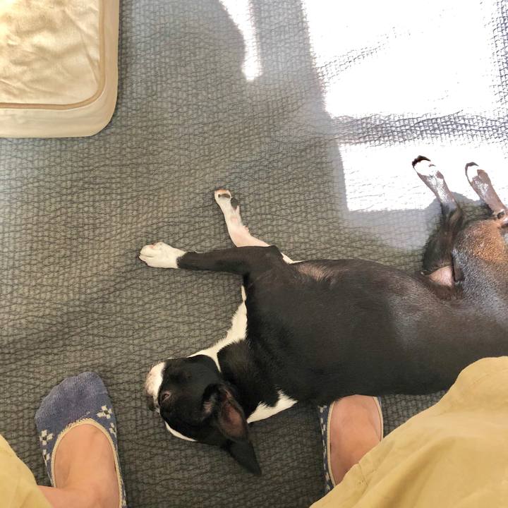 91577dbc 8797 457e a845 26c8a21a25d7 1561072878703